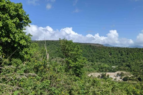 80937m² Land en Saint Joseph, Dominica No. 66274 4