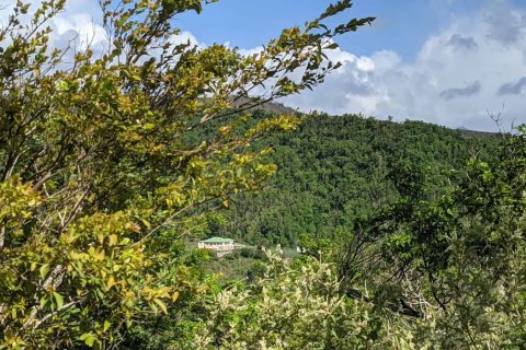 80937m² Land in Saint Joseph, Dominica No. 66274 16