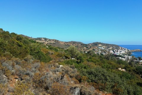 15000m² Land en Rethymno, Greece No. 59031 6