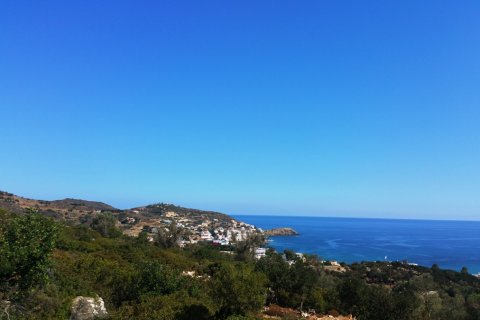 15000m² Land in Rethymno, Greece No. 59031 3