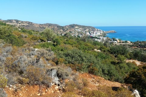 15000m² Land en Rethymno, Greece No. 59031 5