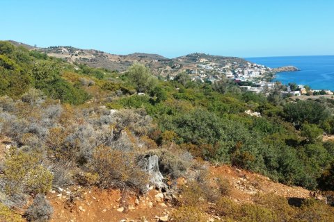 15000m² Land in Rethymno, Greece No. 59031 7