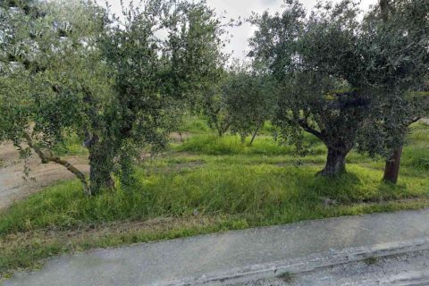 Land in Zakynthos, Greece No. 69564 5