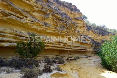 3 dormitorios Villa en Pilar de la Horadada, Spain No. 25887 5