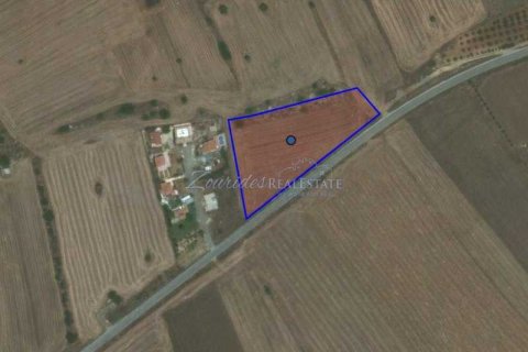 7358m² Land in Mazotos, Cyprus No. 71718 6