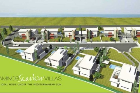 7358m² Land in Mazotos, Cyprus No. 71718 1