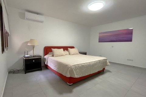 5 dormitorios House en Paphos, Cyprus No. 37375 13