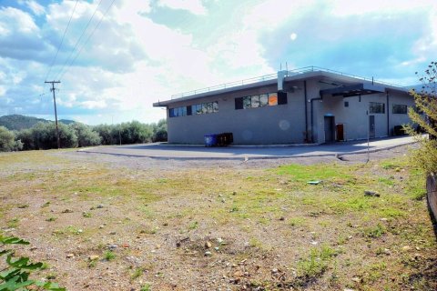 1200m² Negocio en Phocis, Greece No. 56137 4