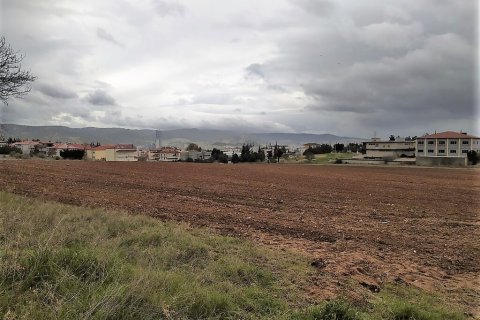 5000m² Land en Oraiokastro, Greece No. 56138 2