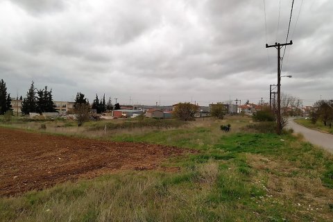 5000m² Land à Oraiokastro, Greece No. 56138 1