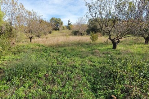 2000m² Land en Chalkidiki, Greece No. 56140 4