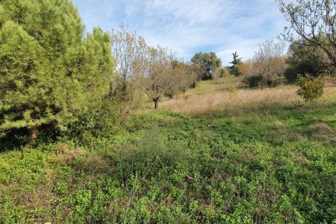 2000m² Land en Chalkidiki, Greece No. 56140 2