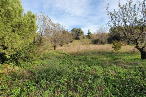 2000m² Land en Chalkidiki, Greece No. 56140 1