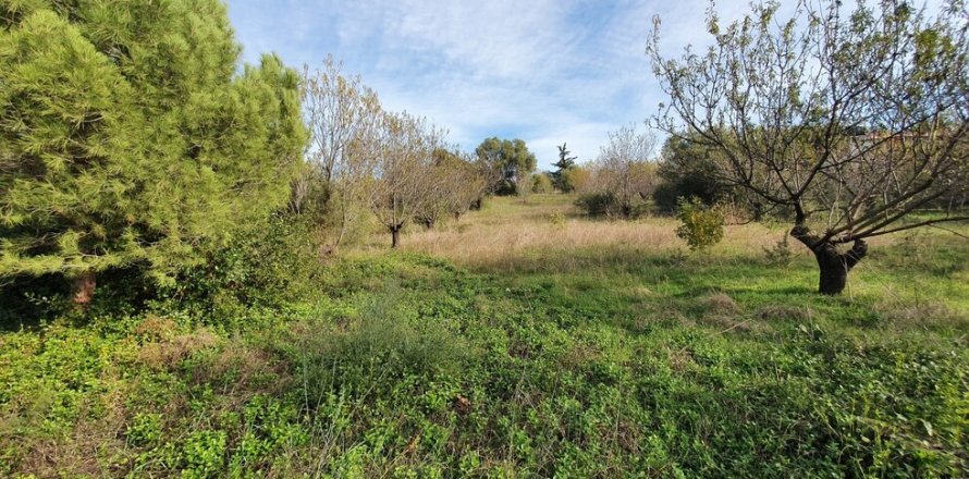 2000m² Land en Chalkidiki, Greece No. 56140