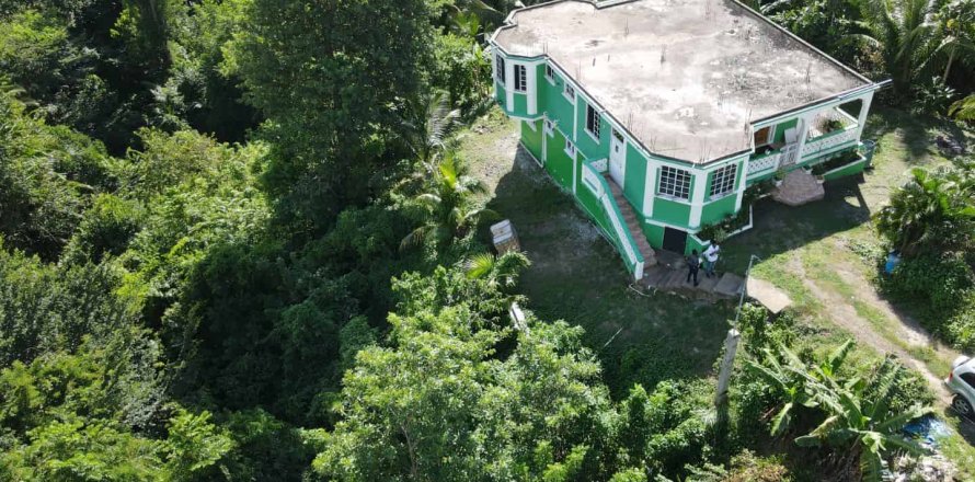 5 dormitorios House en Portsmouth, Dominica No. 66244