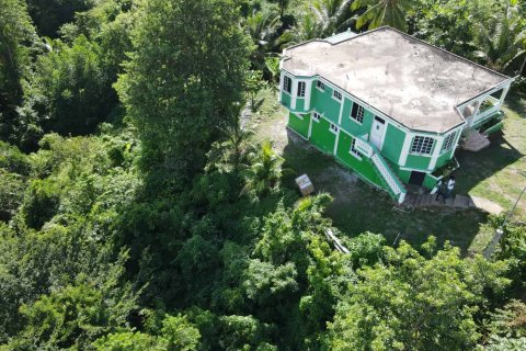 5 dormitorios House en Portsmouth, Dominica No. 66244 30