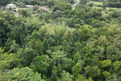 51597m² Land en Saint Paul, Dominica No. 66245 17