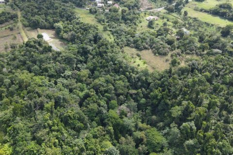 51597m² Land in Saint Paul, Dominica No. 66245 7