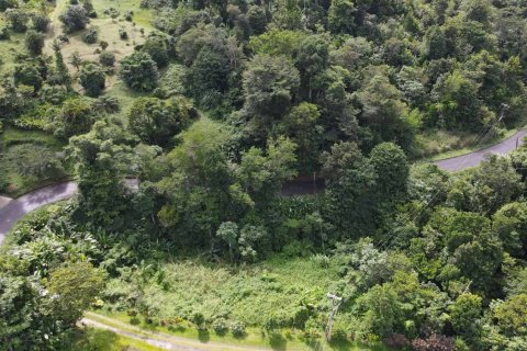 51597m² Land en Saint Paul, Dominica No. 66245 1