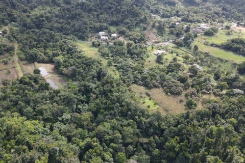 51597m² Land in Saint Paul, Dominica No. 66245 6