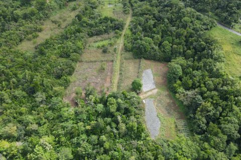 51597m² Land en Saint Paul, Dominica No. 66245 10