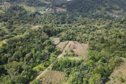 51597m² Land in Saint Paul, Dominica No. 66245 3