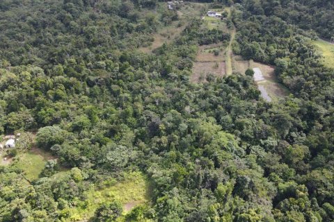 51597m² Land en Saint Paul, Dominica No. 66245 5