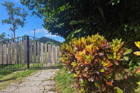 51597m² Land en Saint Paul, Dominica No. 66245 26