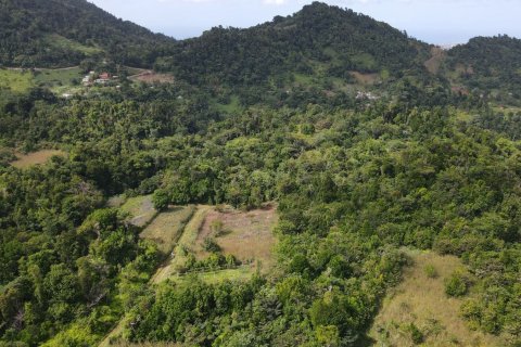 51597m² Land en Saint Paul, Dominica No. 66245 4