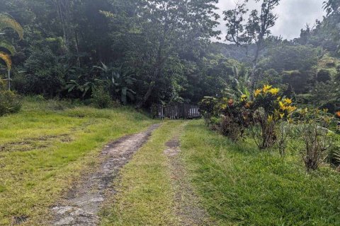 51597m² Land en Saint Paul, Dominica No. 66245 25