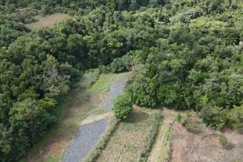 51597m² Land in Saint Paul, Dominica No. 66245 16