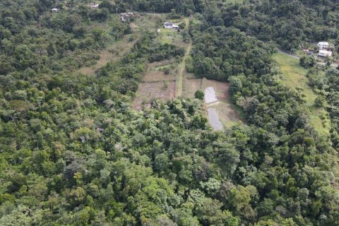 51597m² Land en Saint Paul, Dominica No. 66245 9