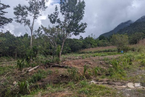 51597m² Land en Saint Paul, Dominica No. 66245 22