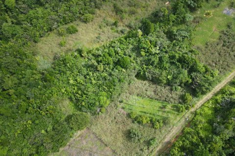 51597m² Land en Saint Paul, Dominica No. 66245 11