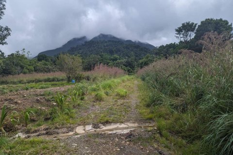 51597m² Land à Saint Paul, Dominica No. 66245 23