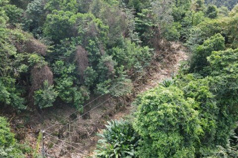 2591m² Land in Loubiere, Dominica No. 66241 11