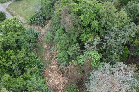 2591m² Land en Loubiere, Dominica No. 66241 1