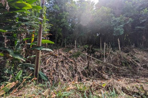 2591m² Land in Loubiere, Dominica No. 66241 2