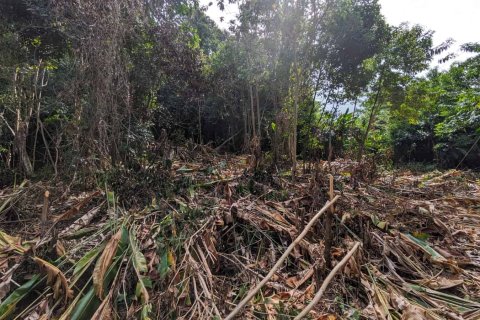 2591m² Land en Loubiere, Dominica No. 66241 10