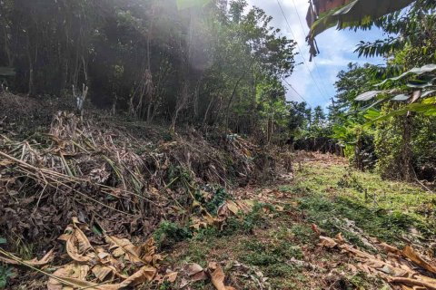 2591m² Land en Loubiere, Dominica No. 66241 6