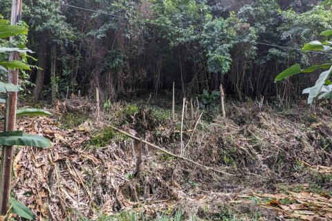 2591m² Land in Loubiere, Dominica No. 66241 16