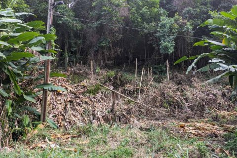 2591m² Land in Loubiere, Dominica No. 66241 15