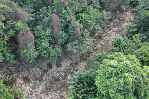 2591m² Land en Loubiere, Dominica No. 66241 19