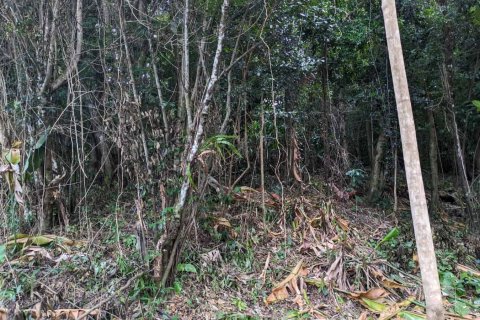 2591m² Land in Loubiere, Dominica No. 66241 18