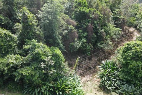 2591m² Land en Loubiere, Dominica No. 66241 9