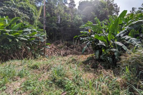 2591m² Land à Loubiere, Dominica No. 66241 13