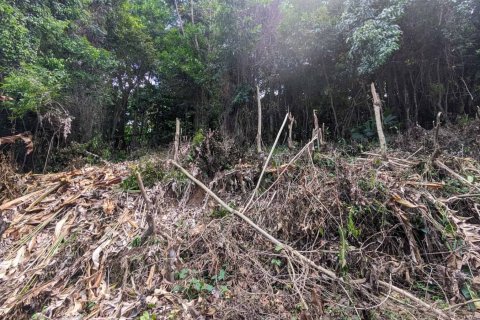 2591m² Land à Loubiere, Dominica No. 66241 5