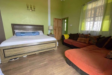 3 bedrooms House in Riviere Cyrique, Dominica No. 66242 24