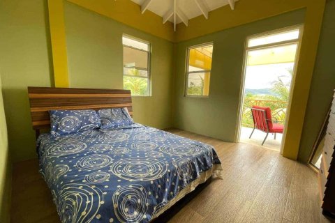 3 bedrooms House in Riviere Cyrique, Dominica No. 66242 20