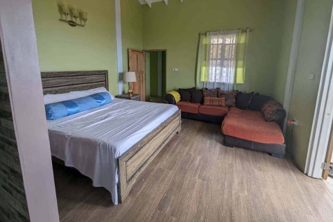 3 bedrooms House in Riviere Cyrique, Dominica No. 66242 25